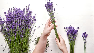 creation-bouquets-lavande