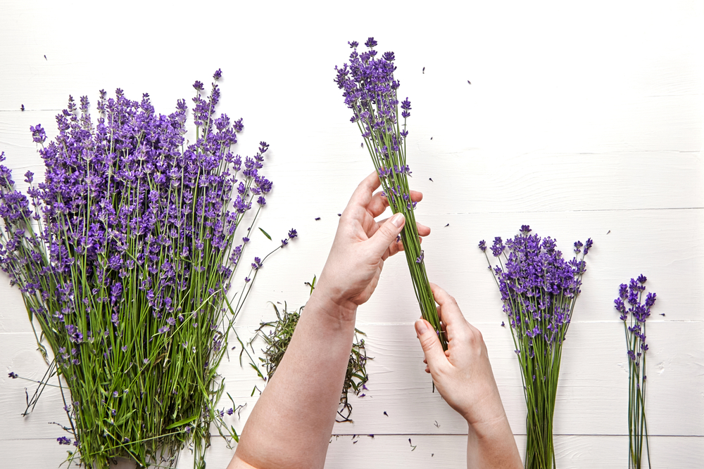 creation-bouquets-lavande