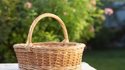 panier-osier